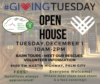 2020 Giving Tuesday OPEN HOUSE