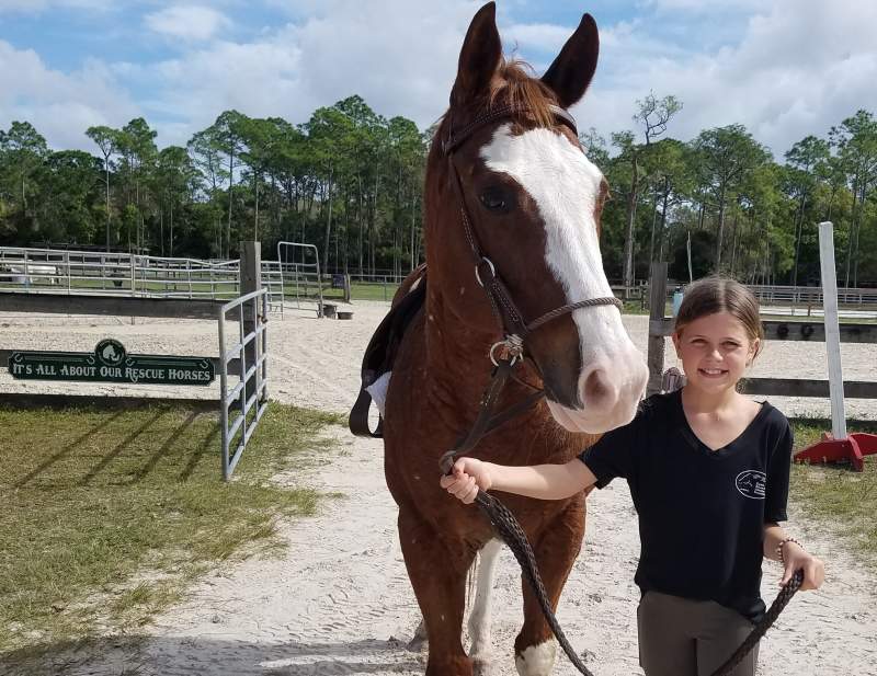 Butterscotch QH Paint Adopted Feburary 2024