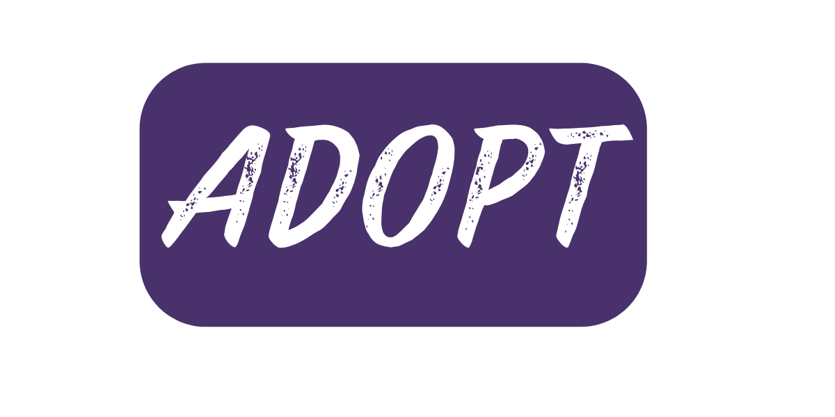 Equine Rescue and Adoption Foundation Inc logo