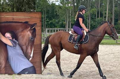 BankVault Thoroughbred Adopted July 2021