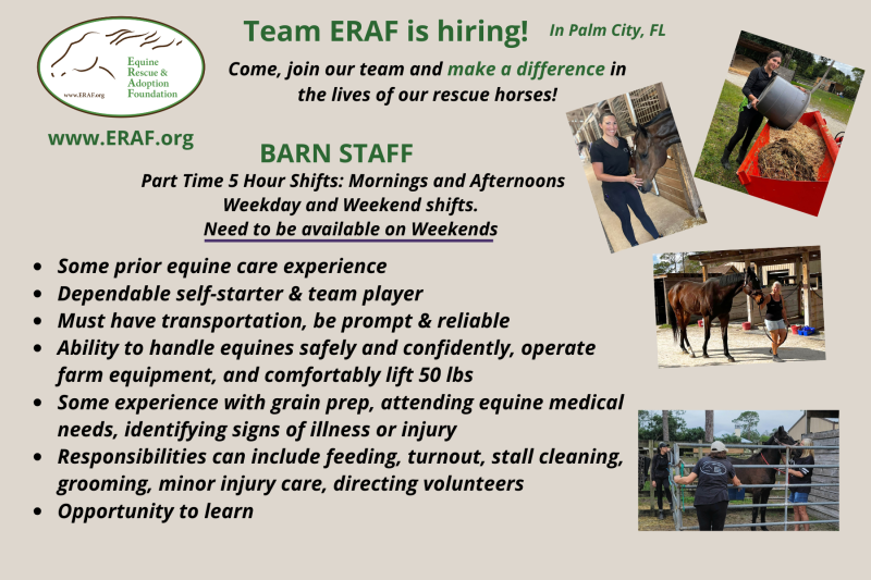 Barn Staff LOGO