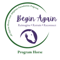 Begin Again PROGRAM HORSE