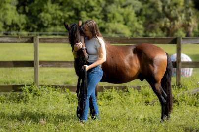 Ben Paso Fino Gelding Adopted June 2025