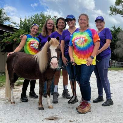 Boogie Adopted August 2023 Therapy Horse