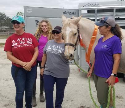 Charlie Palomino Gelding Born 2001 Adopted November 2023 Therapy Horse