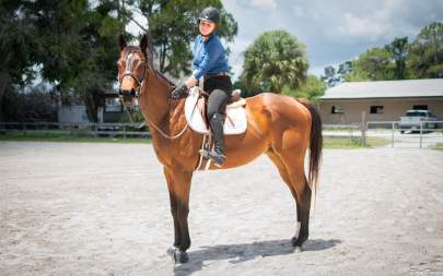 Diamond Cool OTTB Thoroughbred Gelding 17.1 HH Born 2020 Hunter/Jumper Prospect