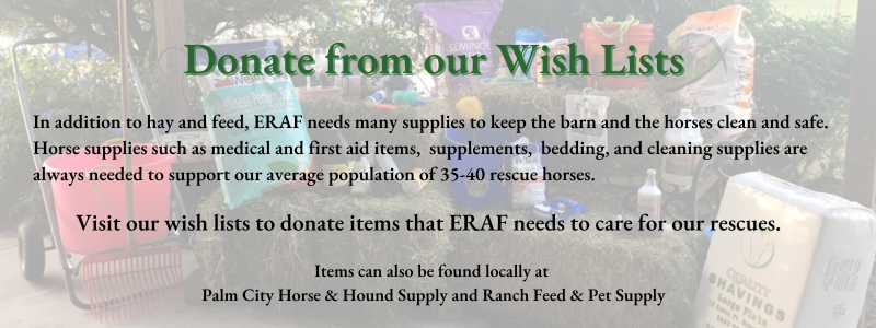 Donate from our Wish Lists