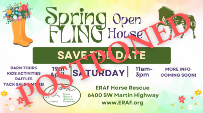 ERAF Spring Fling FB (1)