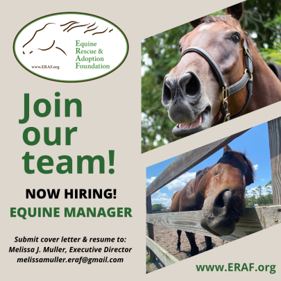 Equine Mgr_Ad