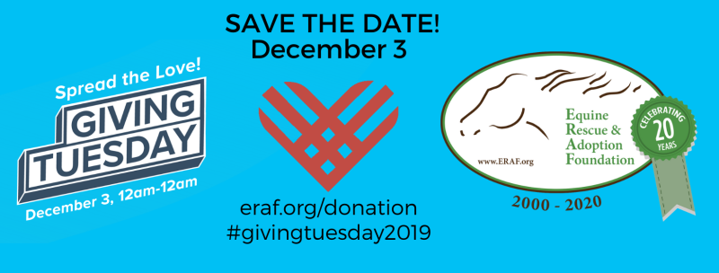 Giving Tuesday 2019 Save Date FB