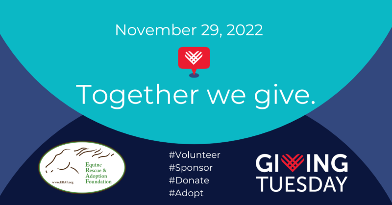 Giving Tuesday Save the Date FB