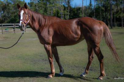 Harper-0867