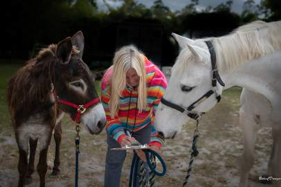 Jerry Donkey Adoption February 2025