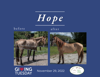 Hope before after givingtuesday2022