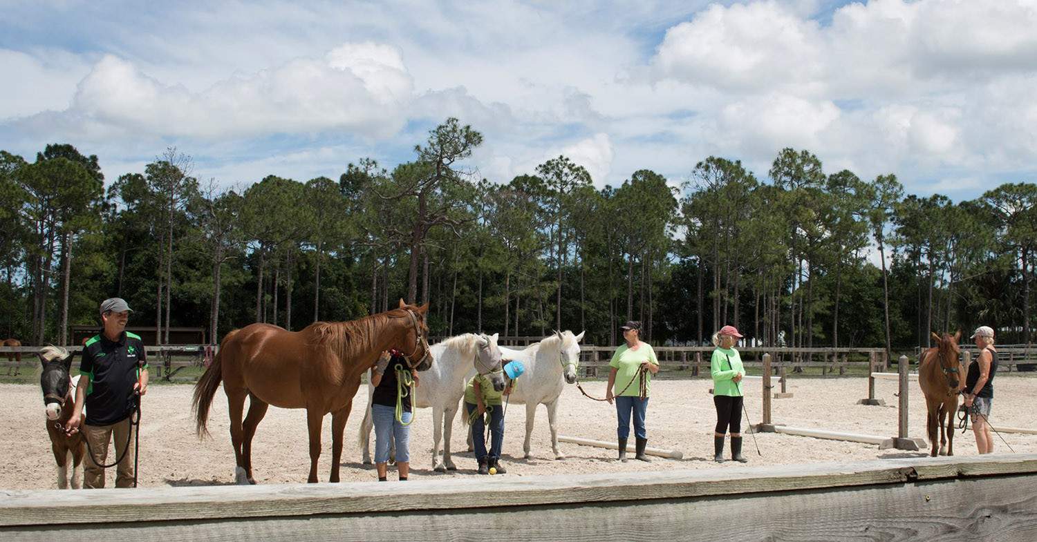 HorseHandling