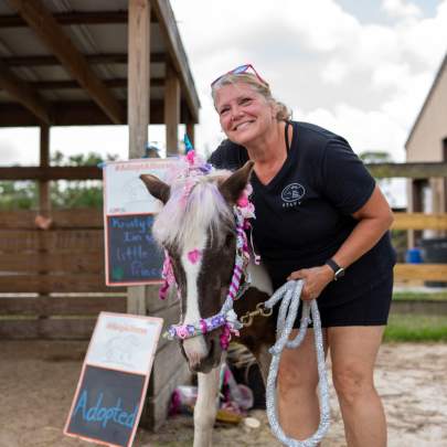 Lucy Pony of the Americas Mare Adopted May 2025