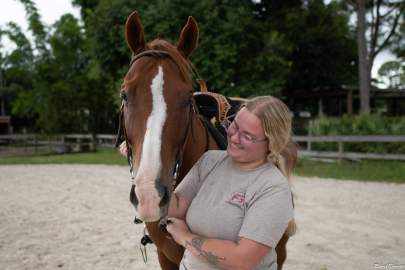 Prince Arabian Quarter Horse Cross Gelding Adopted September 2025