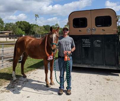 Red Quarter Horse Gelding Born 1990 Adopted May 2022
