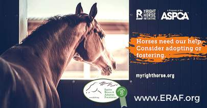 RightHorseInitiative 