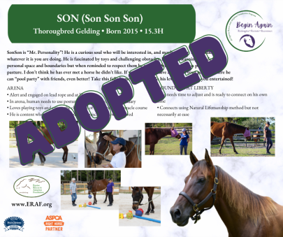 SonSonSon Begin Again ADOPTED