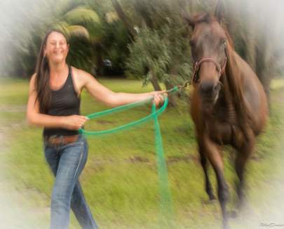 Thunder OTTB Thoroughbred, Born 2011 Adopted Oct 2021