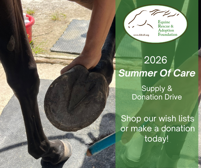 Hoof care